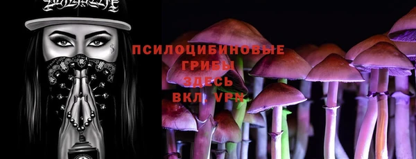 дживик Зеленокумск