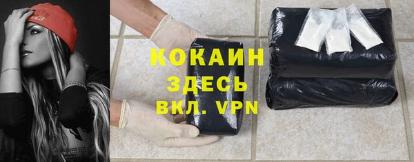 гашик Инта