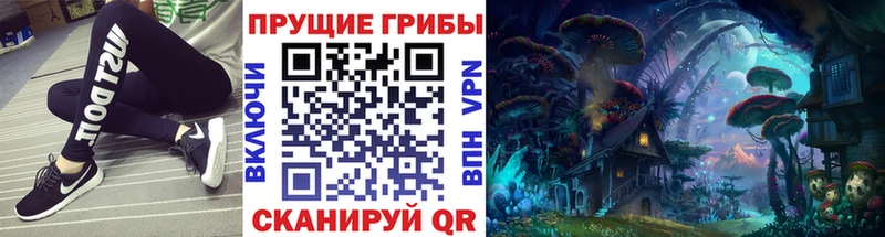 закладка  даркнет формула  Галлюциногенные грибы Cubensis  Инза 